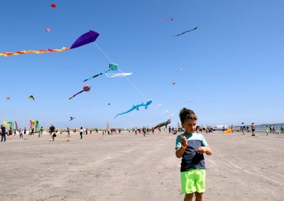 Kite Fesitval