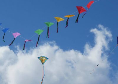 Dublin Kite Festival 2016
