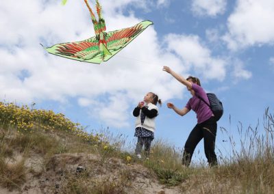 Dublin Kite Festival 2016