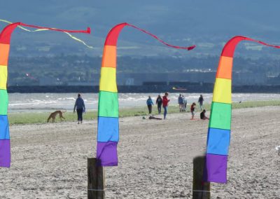 Dublin Kite Festival 2016