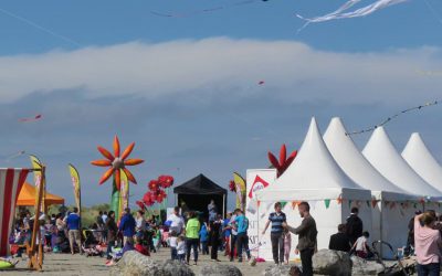 Thousands of Kites Colour the Sky at the 2019 Dublin Kite Festival